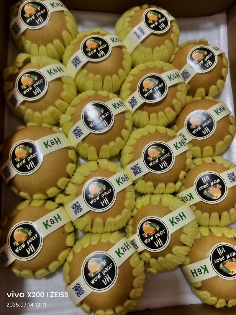 丰水梨大量上市，一件代发，寻求电商，商超合作