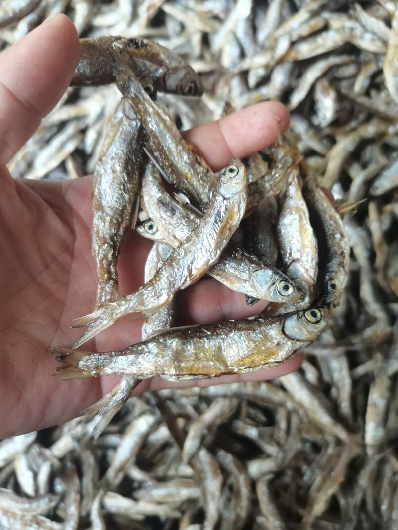 油炸蓝刀/开肚/餐条/刁子鱼/干货/水库鱼/小河鱼