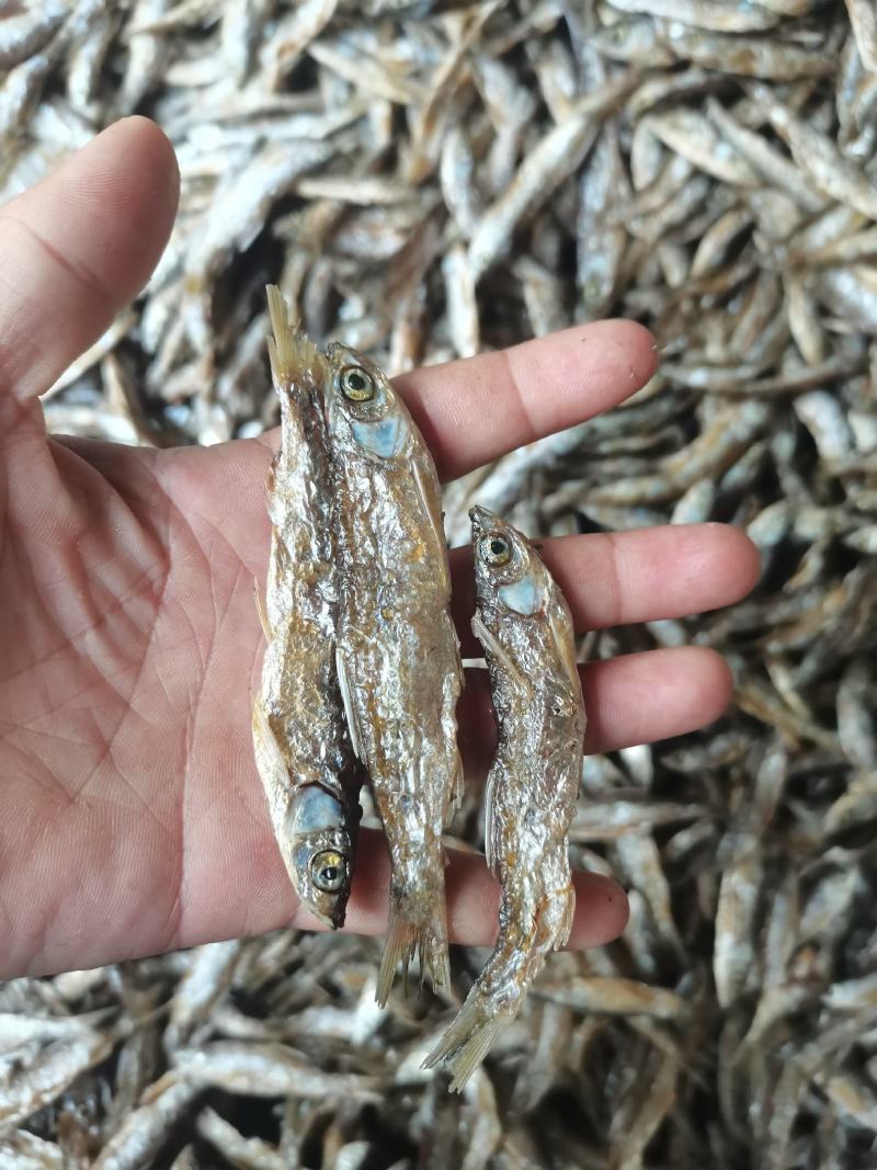 油炸蓝刀/开肚/餐条/刁子鱼/干货/水库鱼/小河鱼
