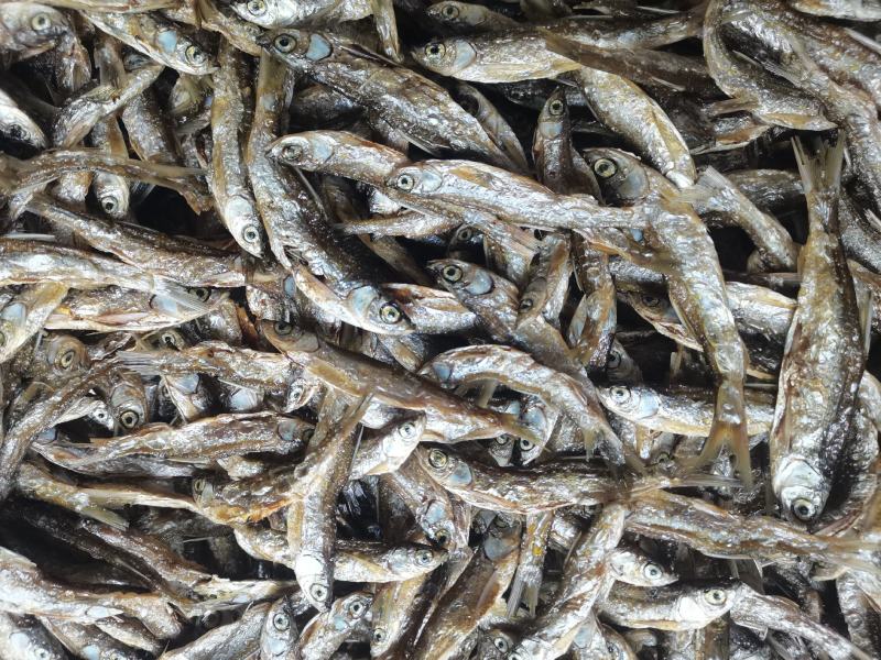油炸蓝刀/开肚/餐条/刁子鱼/干货/水库鱼/小河鱼