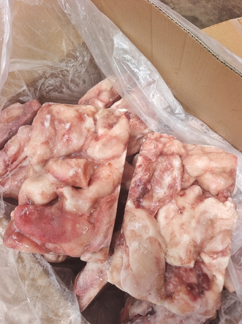 山东威海精品安康鱼肚2斤板，电商好货。
