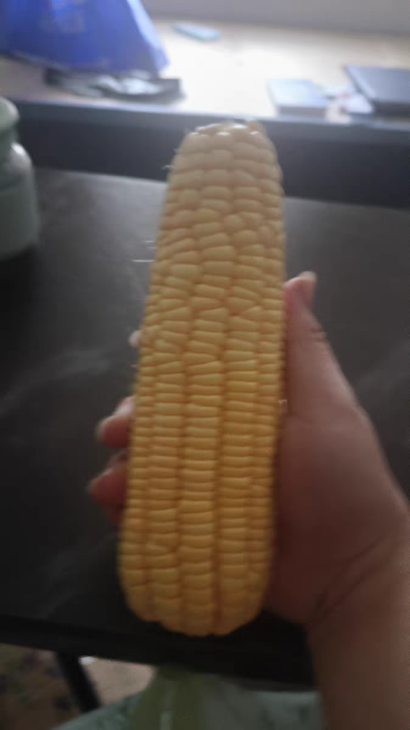 水果玉米（品种泰阳花）
