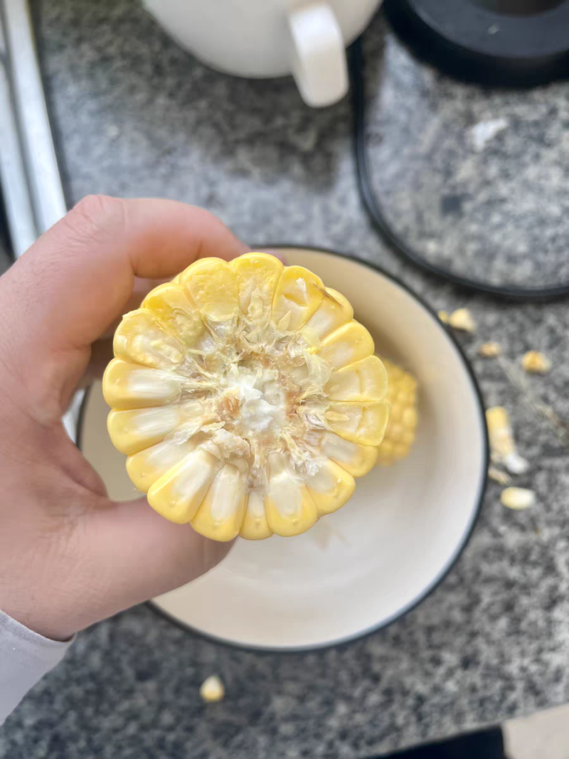 水果玉米（品种泰阳花）
