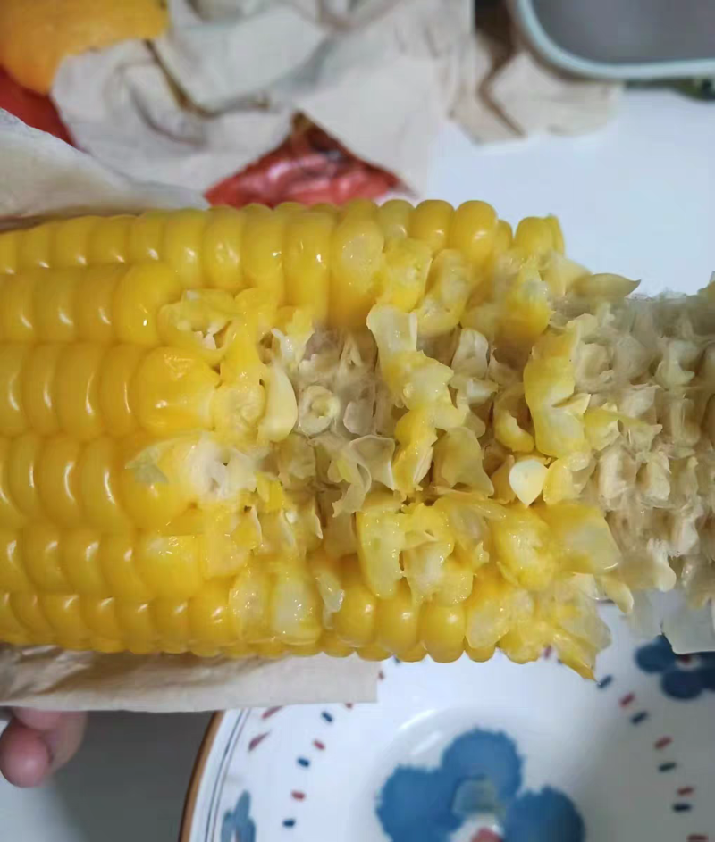 水果玉米（品种泰阳花）