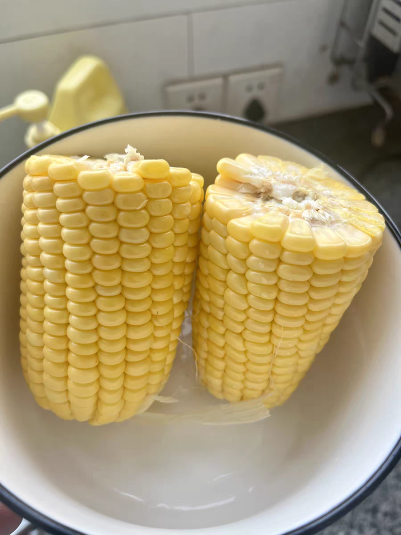 水果玉米（品种泰阳花）