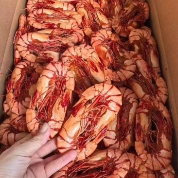 大斑节虾干