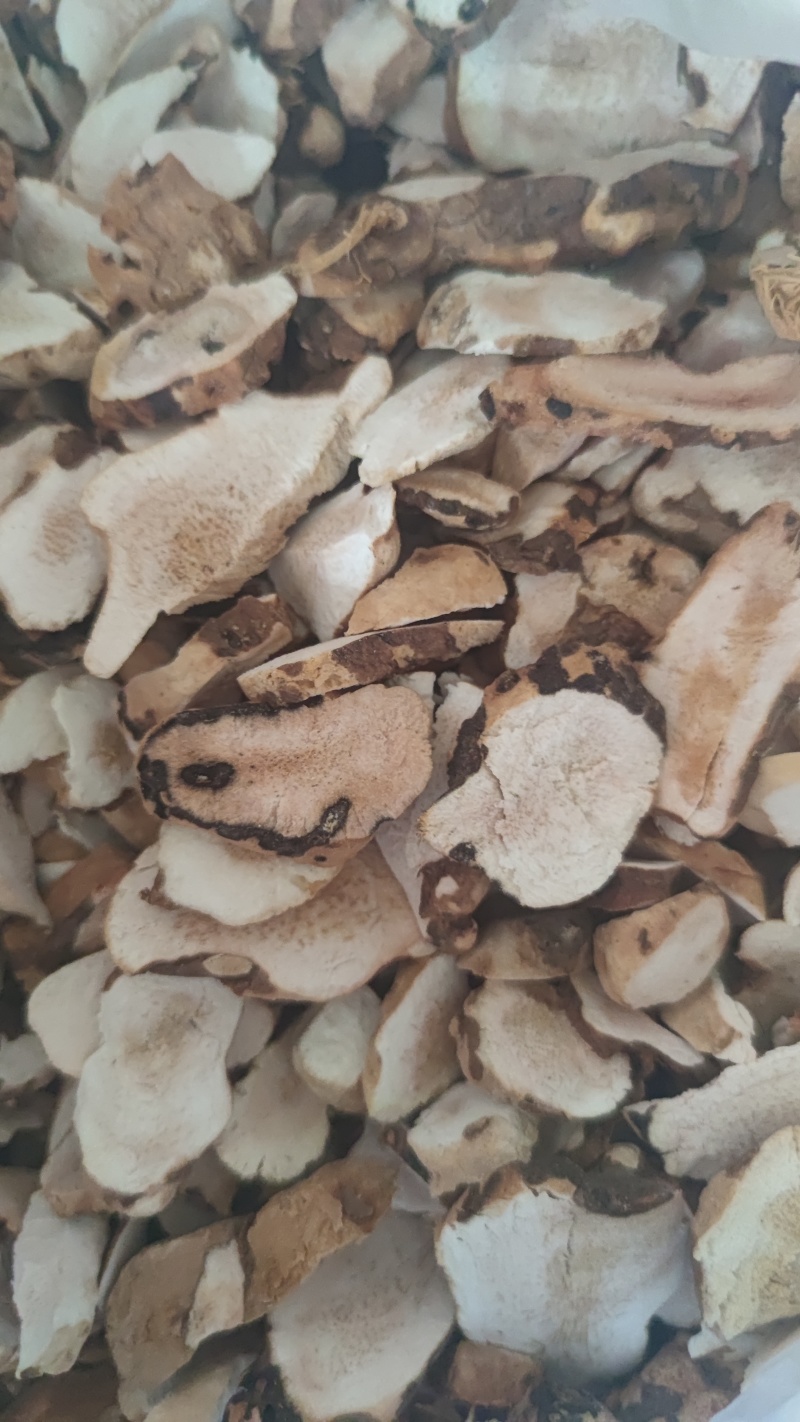 本地脱皮土茯苓片