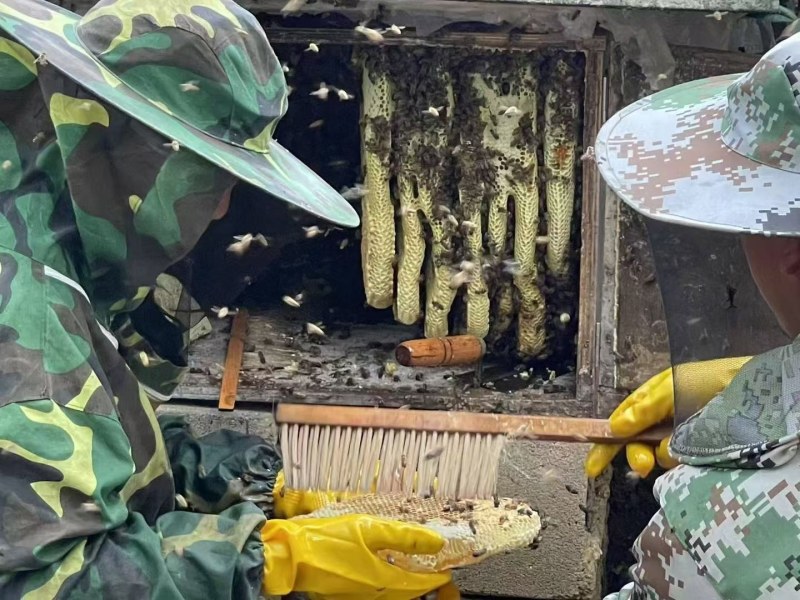 纯正百花蜜，不加糖不掺假，野蛮生长，欢迎咨询。