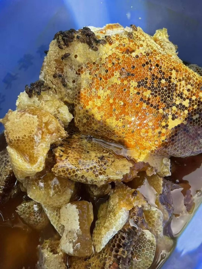 纯正百花蜜，不加糖不掺假，野蛮生长，欢迎咨询。