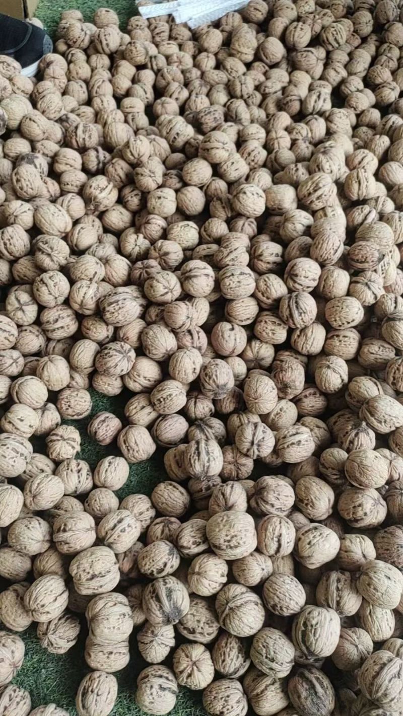 青皮核桃电商一件代发