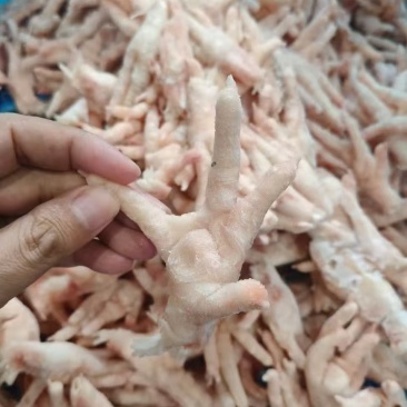 泰国凤爪35~40+A级
