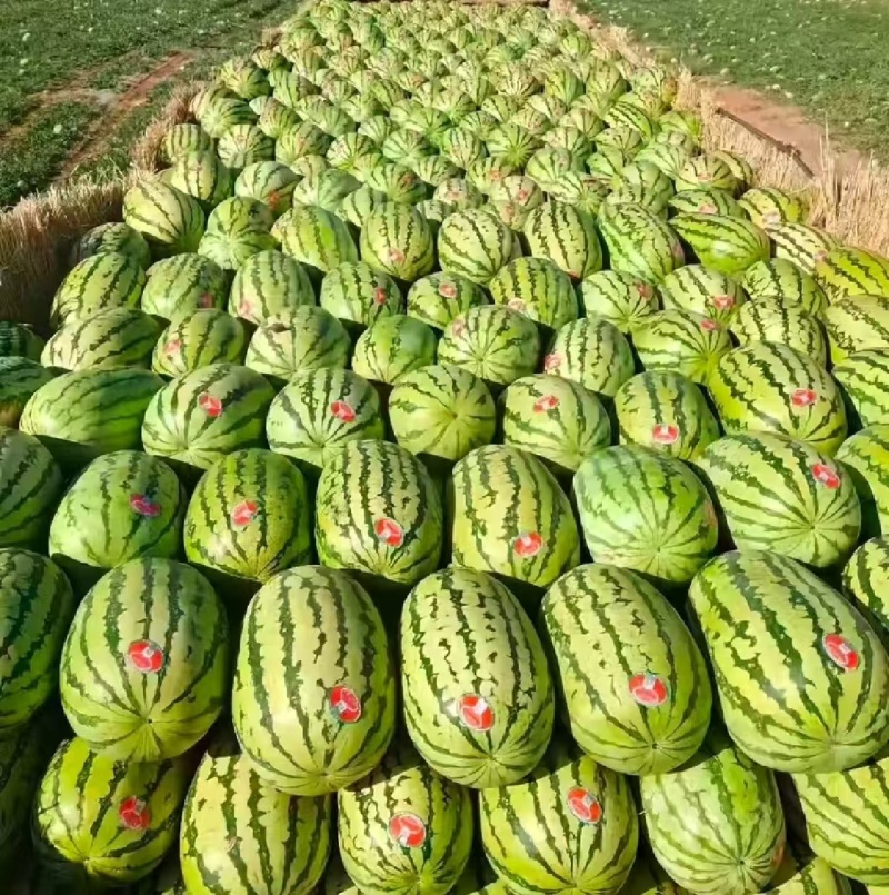 推荐宁夏硒砂瓜石头瓜基地直供量大从优全国发货咨询