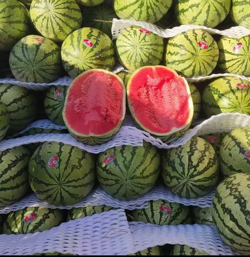 推荐宁夏硒砂瓜石头瓜基地直供量大从优全国发货咨询