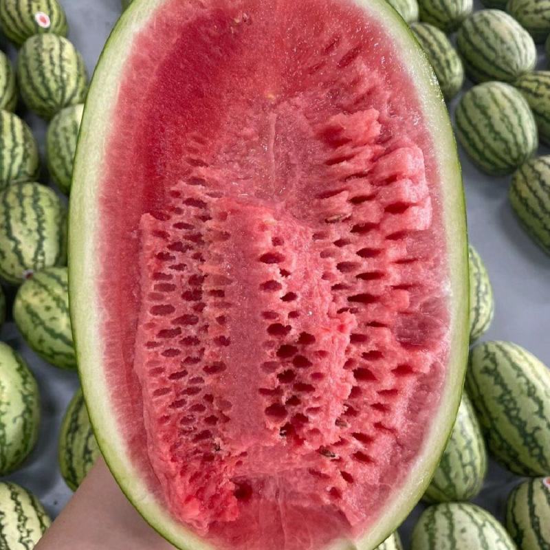 推荐宁夏硒砂瓜石头瓜基地直供量大从优全国发货咨询