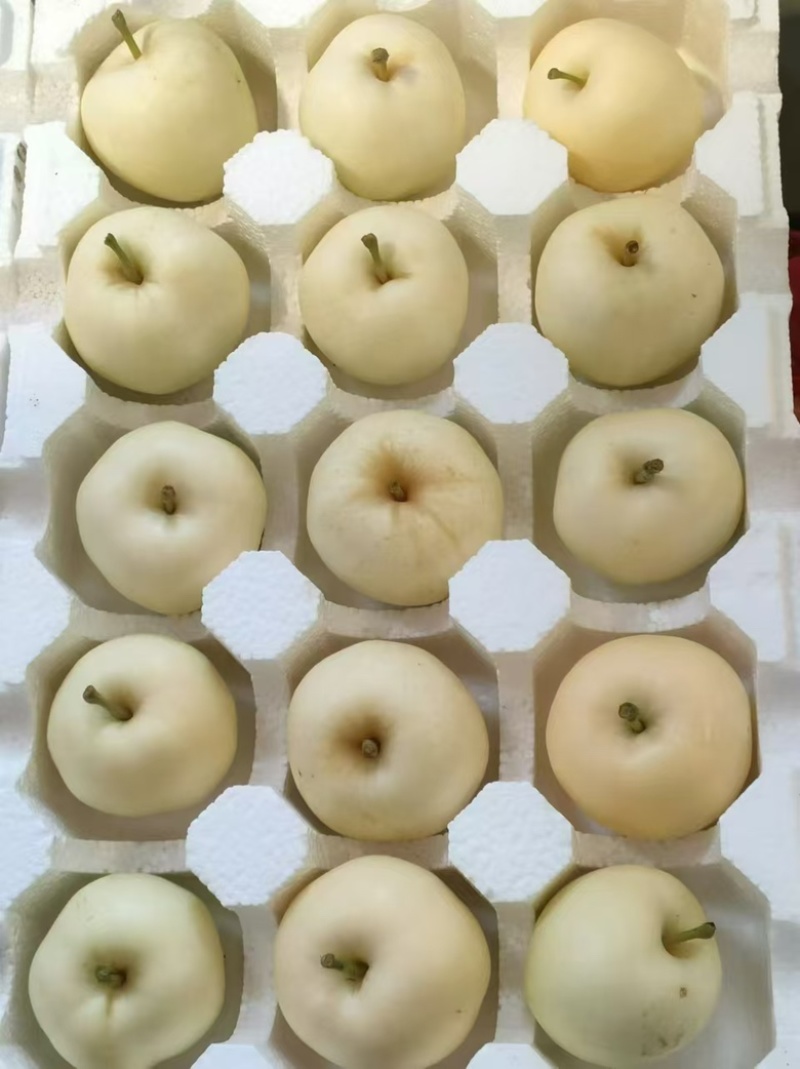奶油富士嘎拉全渠道平台一件代发
