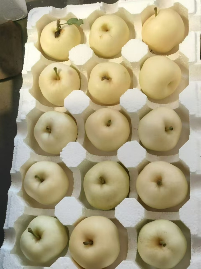 奶油富士嘎拉全渠道平台一件代发