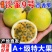 钦蜜9号百香果保质保量产地直发量大从优欢迎咨询