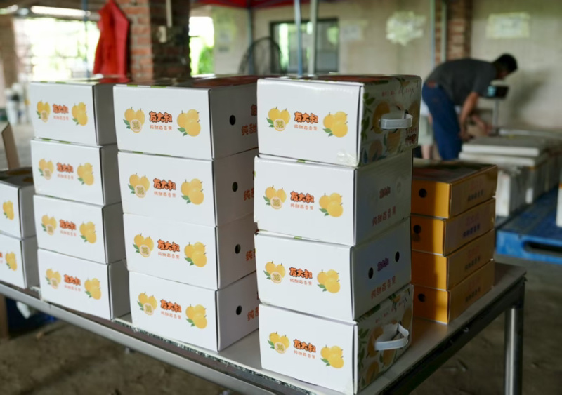 钦蜜9号百香果保质保量产地直发量大从优欢迎咨询