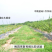 抗砧一号，山东**授权单位