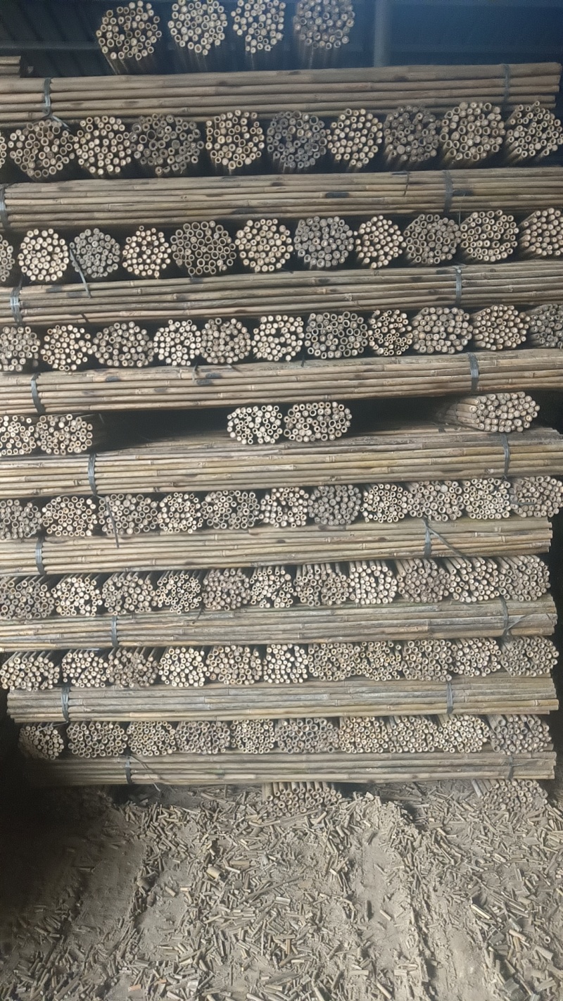香棒竹1.8*厂家直销一手货源。