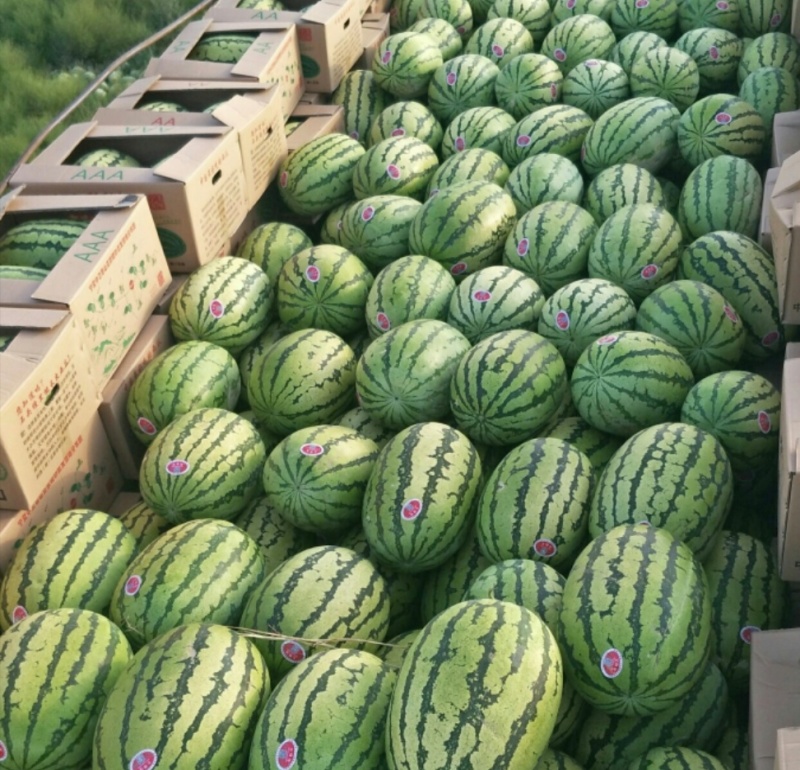 推荐宁夏硒砂瓜石头瓜基地直供量大从优全国发货咨询