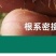 早熟禾厂家直销矮生草坪种子量大批发价格美丽