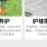 早熟禾厂家直销矮生草坪种子量大批发价格美丽