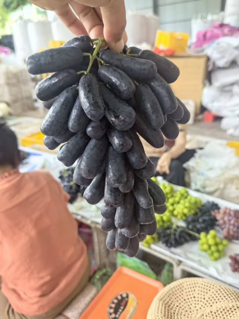 云南大理三色葡萄，对接全国各地社区团购，可视频看货