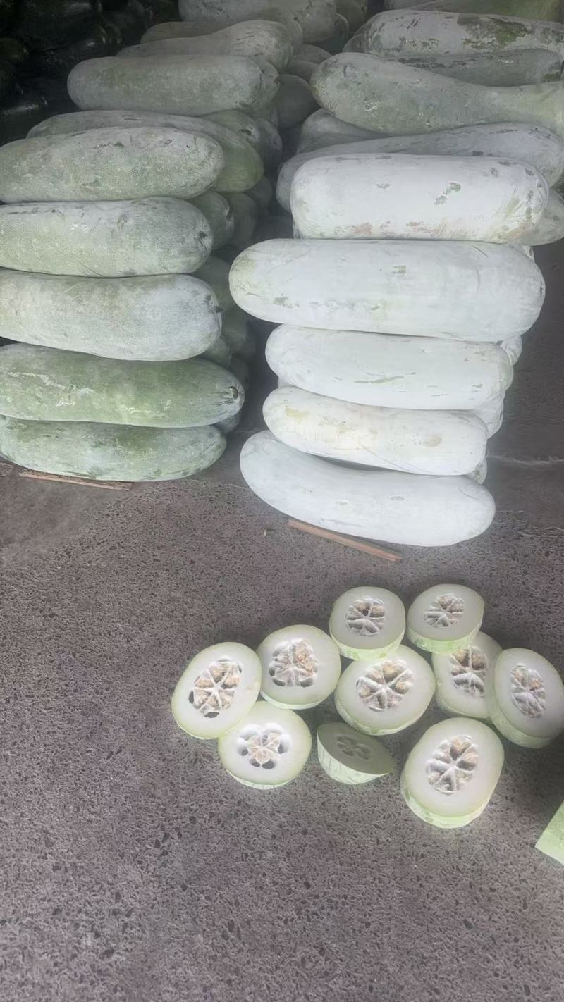 白冬瓜江苏产区直发保质保量供货价钱实惠