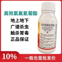 大炮10%高效氯氟氰菊酯棉花棉铃虫农药杀虫剂水乳剂打虫药