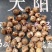 香雪兰种球产地直发一手货源提供技术支持全国发货