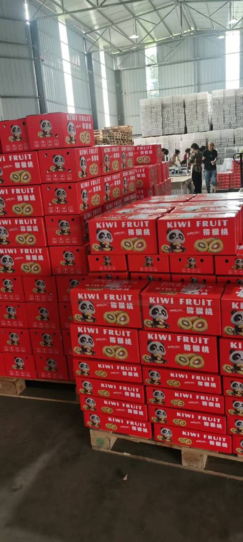 【一件代发】四川红心猕猴桃产地直供品质保障对接全国