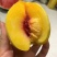 醴陵自家黄桃
