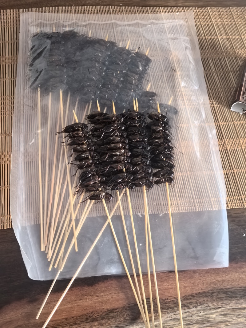 油葫芦蟋蟀鲜活冻干品味至尊附带油炸独特法