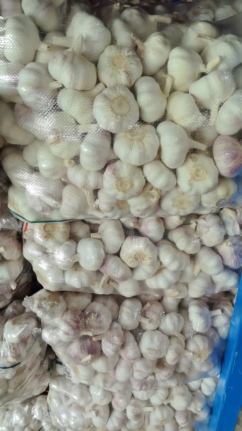 优选蒜米、蒜米，批发，厂家发货，量大价优，欢迎咨询下单
