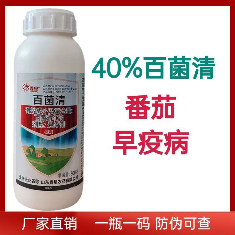 鑫星40%百菌清番茄早疫病农药杀菌剂预防保护悬浮剂微毒
