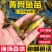 黄骨鱼苗成活率高抗病力强基地直销提供技术指导