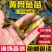 黄骨鱼苗成活率高抗病力强基地直销提供技术指导