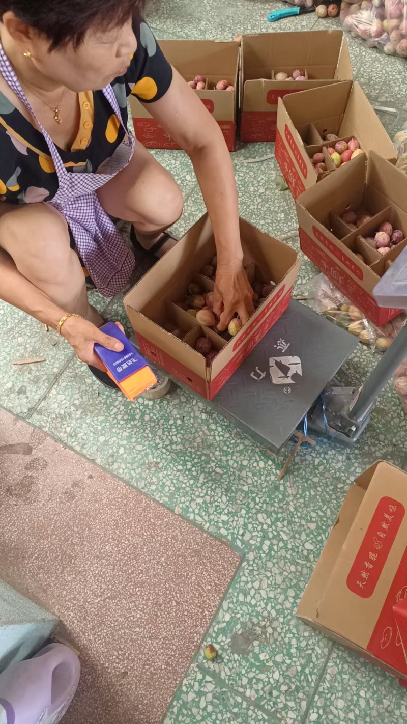 西梅一件代发