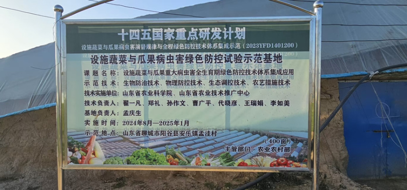 山东西葫芦大量上市产地植发价格美丽欢迎老板拿货