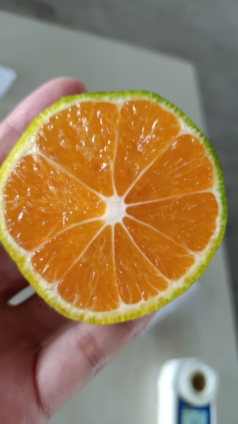 云南蜜橘对接电商，社区，市场，出口贸易，产地一手货源