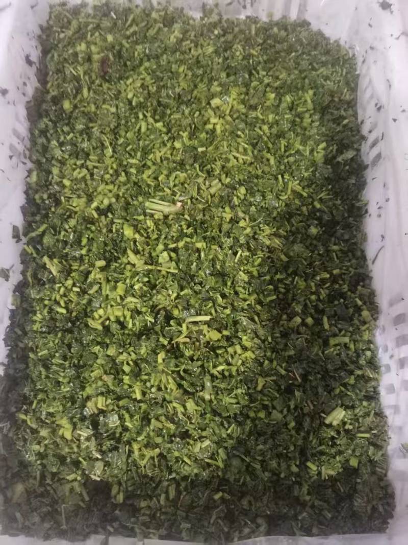 腌制香椿、做酱、一手货源、欢迎选购！电商、