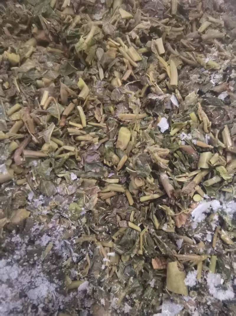 腌制香椿、做酱、一手货源、欢迎选购！电商、