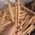 甘肃白条党参精品货1.0-1.2的条，剪须货，*后一批