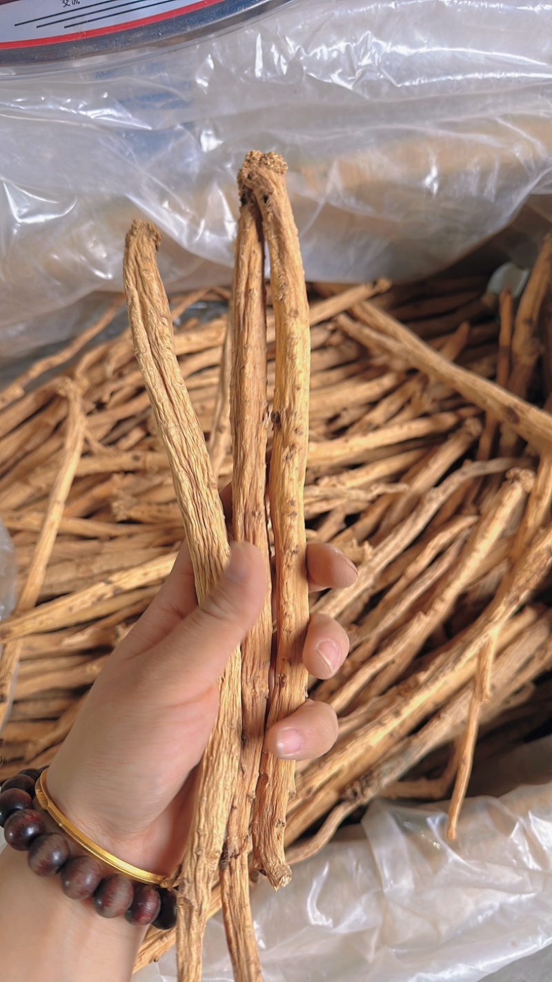 甘肃白条党参精品货1.0-1.2的条，剪须货，*后一批