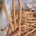 甘肃白条党参精品货1.0-1.2的条，剪须货，*后一批