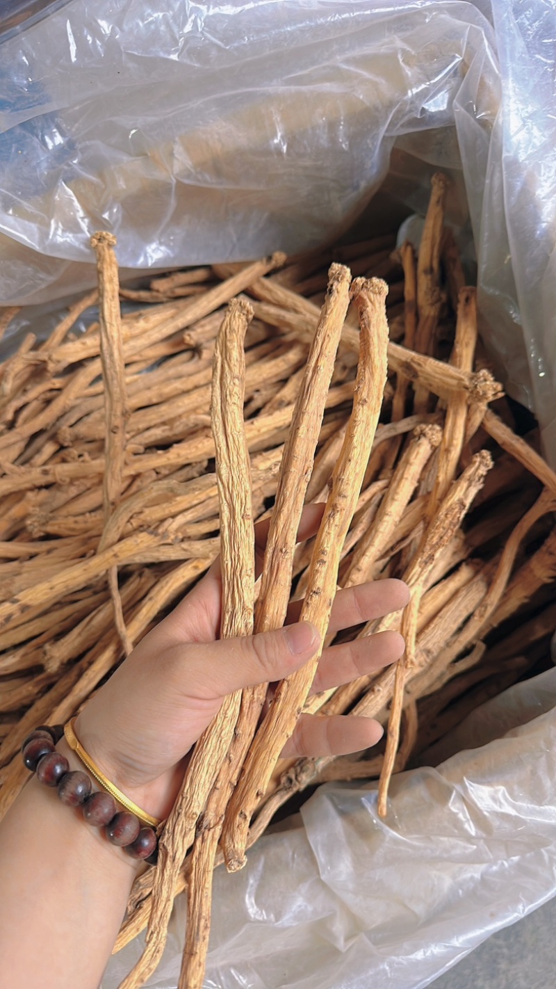 甘肃白条党参精品货1.0-1.2的条，剪须货，*后一批