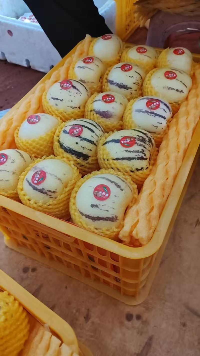 云南当季节人参果，大量上市