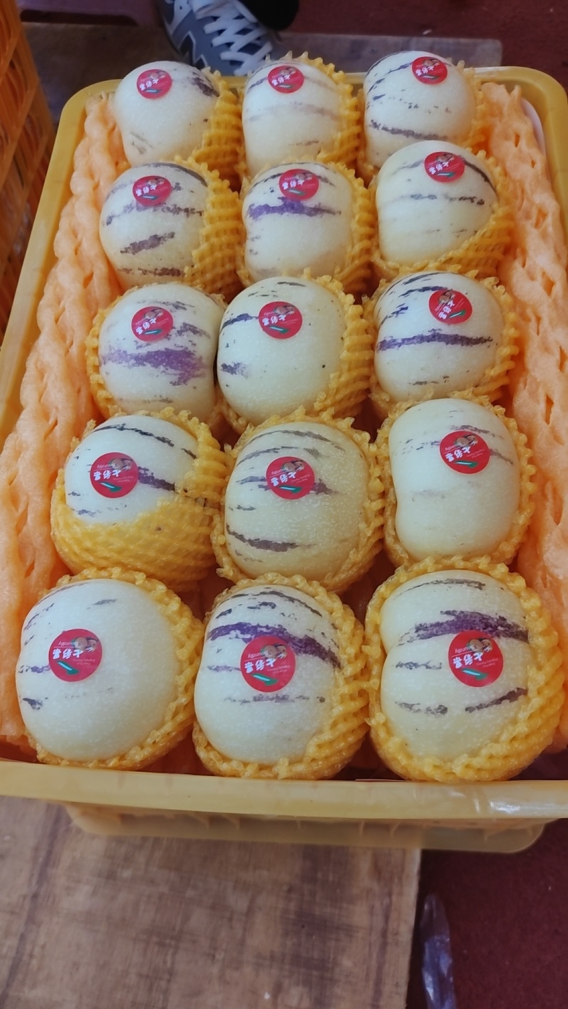云南当季节人参果，大量上市