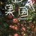 果园直发各种品种苹果好吃品种